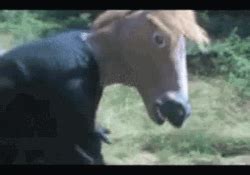 Funny Horse GIFs | GIFDB.com