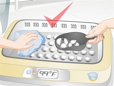 How to Use an Incubator to Hatch Eggs (with Pictures) - wikiHow