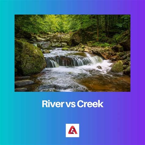 River vs Creek: Difference and Comparison