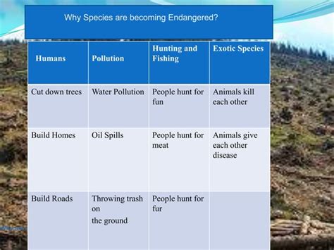 Endangered Species Of PAKISTAN | PPT