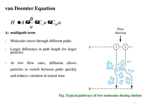 PPT - Van Deemter Equation PowerPoint Presentation, free download - ID ...