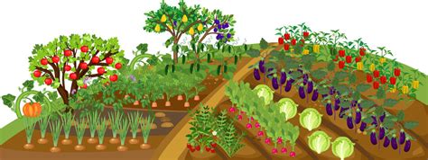 Vegetable Garden Cartoon Images – Browse 70,922 Stock Photos, Vectors ...