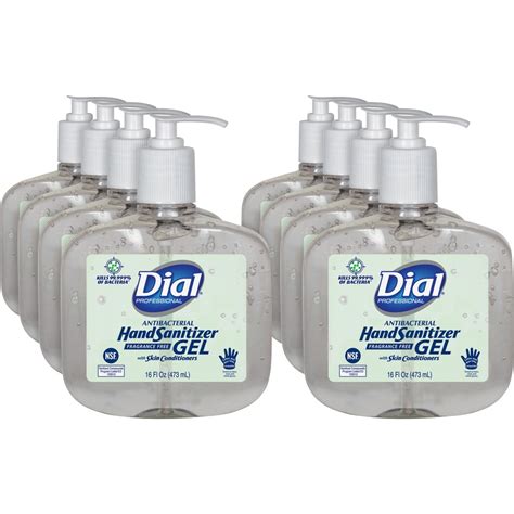 Dial Professional Hand Sanitizer - 16 fl oz (473.2 mL) - Pump Bottle ...