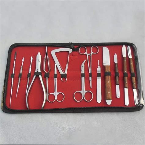 Amazon.com: 14 Pieces of Modeling Dental Laboratory Instruments Kit : Health & Household