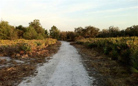 Hiking Trails in Central Florida - Lakeland, Florida - Visit Central Florida Great Places ...