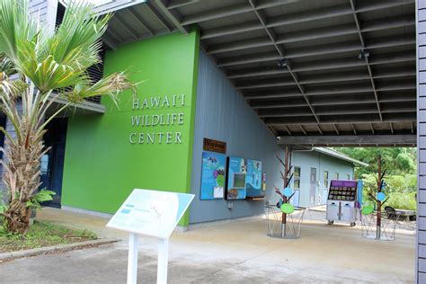 Giving Back on Vacation: Hawai'i Wildlife Center, Big Island - Family ...