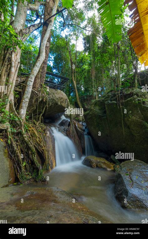 Waterfall in the jungle Stock Photo - Alamy