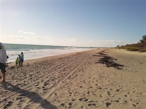 The Treasure Beaches Report Direct From Florida's Treasure Coast.: 3/20 ...