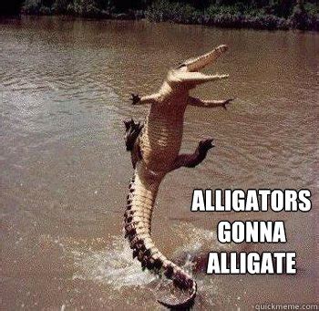 Alligators gonna alligate memes | quickmeme