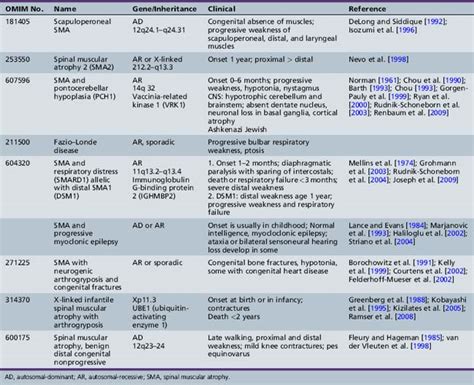 Rare Form Of Motor Neurone Disease | Webmotor.org