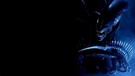 Xenomorph Wallpaper 1920x1080