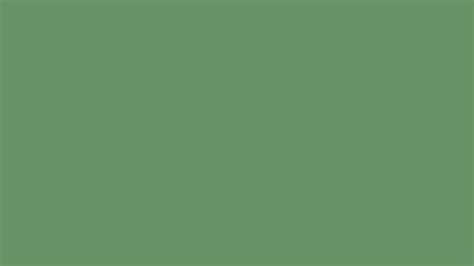 7680x4320 Russian Green Solid Color Background