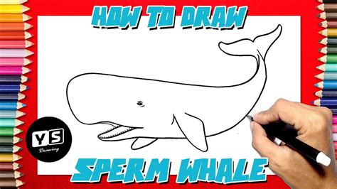 How to draw Sperm Whale - YouTube