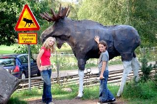 Kim, Maria and the only real size moose we saw standing up… | Flickr