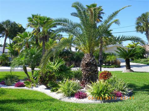 Front Yard Landscaping With Palm Trees | Images and Photos finder