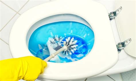 How To Clean Toilet Siphon Jet – HomePander