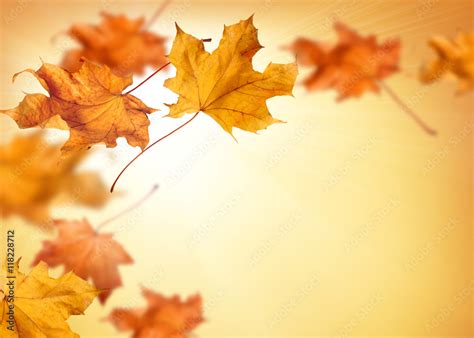 Fall background with orange and red falling autumn leaves Stock Photo ...