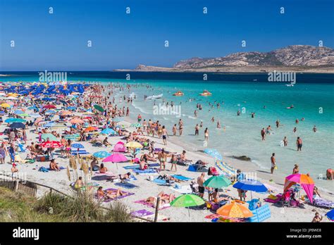 Bathers in the turquoise sea La Pelosa Beach Stintino Asinara National ...