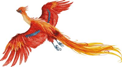 fawkes harry potter phoenix - Free PNG - PicMix