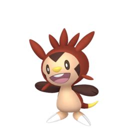 Chespin sprites gallery | Pokémon Database