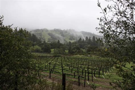 Anderson Valley Itinerary: Top Wineries & "Agritourism" Hot Spots • Winetraveler