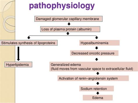 Nephrotic Syndrome Signs and Symptoms Management Nursing Care