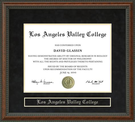 Los Angeles Valley College (LAVC) Diploma Frame: Wordyisms