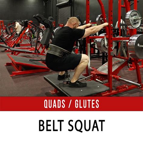 Belt Squat - N1 Training