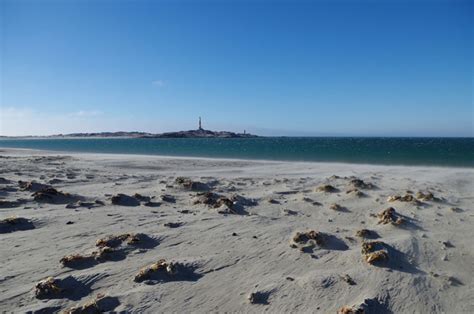 A tall ship, wild horses, diamonds and wind in Lüderitz - Africa Geographic