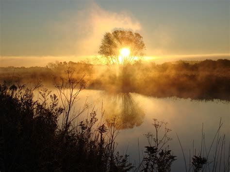 Foggy sunrise | Photo, Sunrise, Foggy