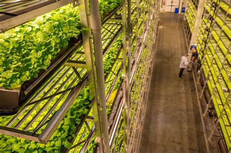 AeroFarms - AeroFarms Partners To Launch First Vertical Farming Program Addressing Food Deserts ...