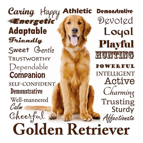 "Golden Retriever Traits" Stickers by DogLove | Redbubble