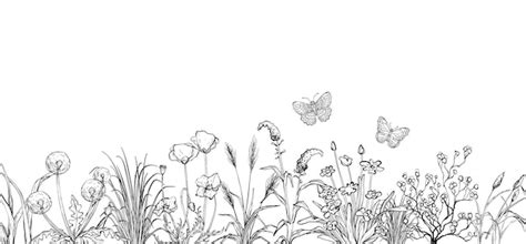 Premium Vector | Black and white sketch Field flowers and grass landscape