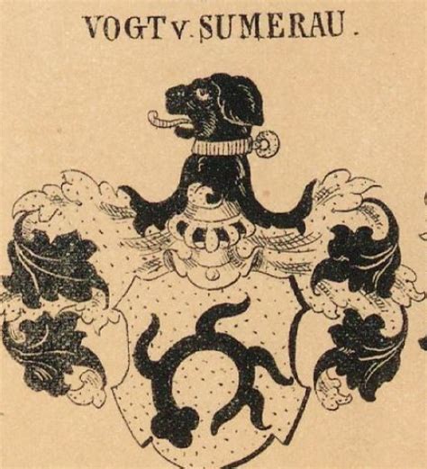 Vogt Family Crest, Coat of Arms and Name History