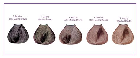 Mocha Hair Color: Brown, Chocolate, Caramel, Dark, Light, Violet & Iced ...