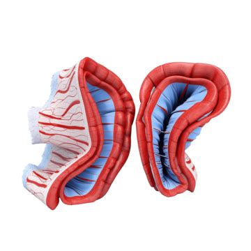 3d Rendering Of Folded Rican Colon Notes Isolated, 3d Rendering, Alone ...