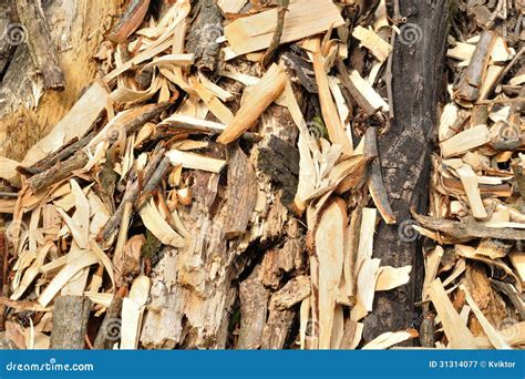 Woodchips texture stock image. Image of natural, closeup - 31314077