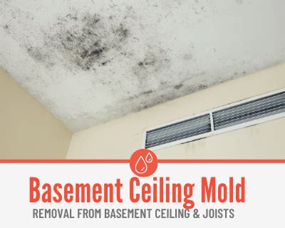 Mold on Basement Ceiling - Removal & Prevention