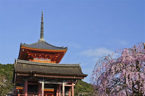 Cherry Blossoms and Kiyomizu-dera Photograph by Brian Kamprath