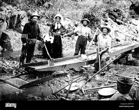 A woman with three men panning for gold during the California Gold Rush ...