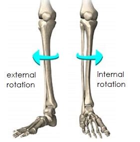 Knee Range Of Motion: How To Measure & Improve - Knee Pain Explained (2022)