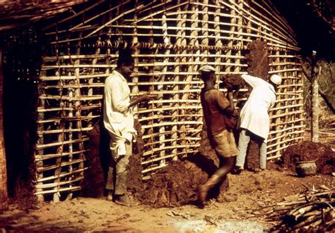 ‎Wattle and Daub House Construction - UWDC - UW-Madison Libraries