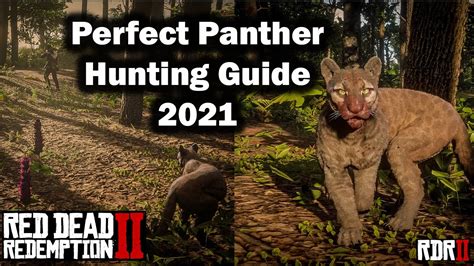 Perfect Panther Hunting guide for beginner in 2021 - Red Dead Redemption 2 - RDR2 - YouTube