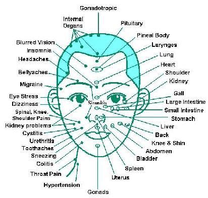 7 best images about Face Reflexology on Pinterest | The skulls, It is ...