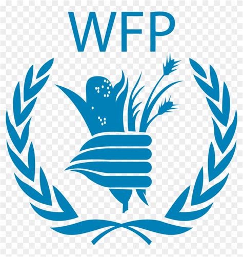 Wfp Logo - World Food Program Png, Transparent Png - 1013x1024(#2549615) - PngFind