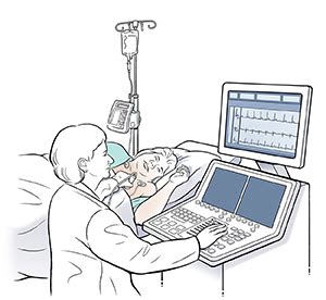 Dobutamine Stress Echocardiography (Echo) | Saint Luke's Health System