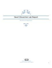 Heart Dissection Lab Report.docx - Heart Dissection Lab Report ...