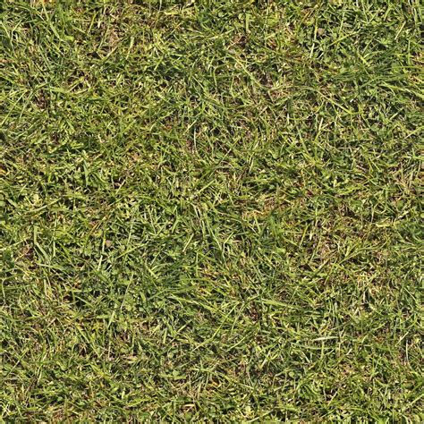 Grass+02+seamless.jpg (1600×1600) | Grass textures, Grass texture seamless, Dirt texture