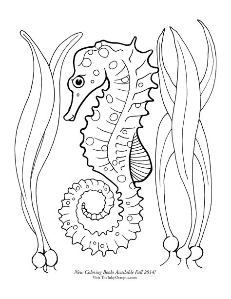 Coloring Page Seahorse – Kidsworksheetfun