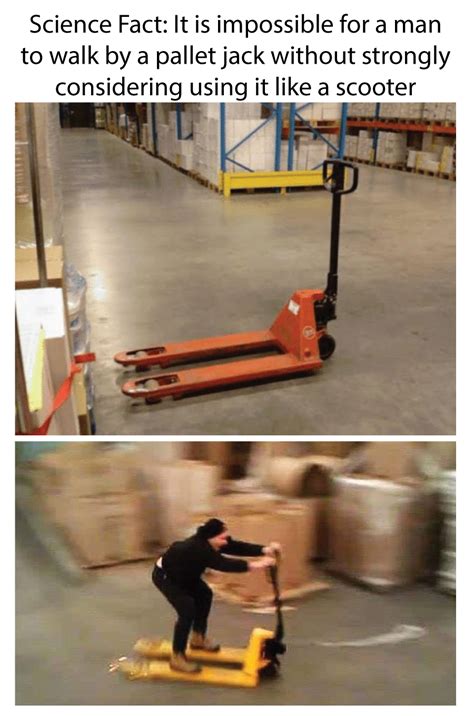 The struggle is real! 😅😅😅 Pallet Jack, Science Fact, Struggle Is Real, Forklift, Walking By ...